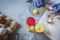 Scientist at laboratory investigates the crisis caused by the fraud of the contaminated eggs with fipronil