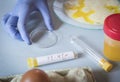 Scientist at laboratory investigates the crisis caused by the fraud of the contaminated eggs with fipronil