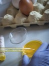 Scientist at laboratory investigates the crisis caused by the fraud of the contaminated eggs with fipronil