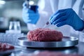 Laboratory Process of Injecting Substance into Raw Meat for Food Safety Testing and Research Royalty Free Stock Photo