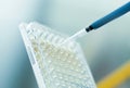 Scientist in a laboratory using a pipette to measure out a sample of clear liquid for analysis Royalty Free Stock Photo