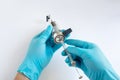 Scientist loading sample into HPLC injector valve using a microsyringe Royalty Free Stock Photo