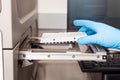 Scientist loading samples to a RT-PCR thermal cycler at the laboratory. Real-time polymerase chain reaction technique. RT-PCR Royalty Free Stock Photo