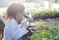 Scientist looking at microscope in greenhouse