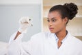 Scientist looking at sprouts Royalty Free Stock Photo