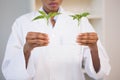 Scientist looking at sprouts in test tube Royalty Free Stock Photo