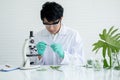 Scientist man with green gloves hold slide and put piece of Aloe vera on slide with concentration to analysis in laboratory or