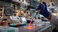 Lab Research: Scientist Pipetting Sample into Petri Dish with Precision Royalty Free Stock Photo