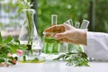 Scientist with natural drug research, Natural organic and scientific extraction in glassware, Alternative green herb medicine. Royalty Free Stock Photo