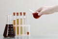 Scientist pouring brown liquid from round bottom flask into test tube on light background, closeup Royalty Free Stock Photo