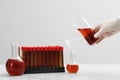 Scientist pouring liquid from beaker into conical flask on white table against light background, closeup Royalty Free Stock Photo