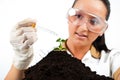 Scientist pouring liquid on plant