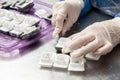 Scientist preparing paraffin blocks containing biopsy tissue for sectioning. Pathology laboratory. Cancer diagnosis Royalty Free Stock Photo