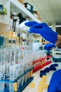 Scientist processing organs with gloves preparing gradient Royalty Free Stock Photo