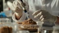Scientist pulverizing and sieving soil samples at table, closeup. Laboratory analysis Royalty Free Stock Photo