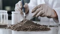 Scientist pulverizing and sieving soil samples at table, closeup. Laboratory analysis Royalty Free Stock Photo