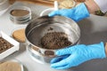 Scientist pulverizing and sieving soil samples at table. Laboratory analysis