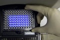 Scientist put the plate into pcr machine