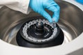 Scientist puts microcentrifuge tubes into centrifuge for phase separation Royalty Free Stock Photo