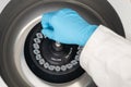 Scientist puts microcentrifuge tubes into centrifuge for phase separation Royalty Free Stock Photo