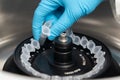 Scientist puts microcentrifuge tubes into centrifuge for phase separation Royalty Free Stock Photo