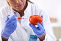 Scientist putting new sample to tomato and doing new research