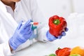 Scientist putting new sample to vegetables and cheking results Royalty Free Stock Photo