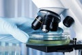 Scientist putting Petri dish with liquid under microscope. Laboratory analysis Royalty Free Stock Photo