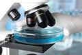 Scientist putting Petri dish with liquid under microscope. Laboratory analysis Royalty Free Stock Photo