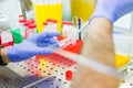 Laboratory work with tissue cultures Royalty Free Stock Photo