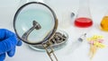 A scientist`s hand with a magnifying glass does a sunflower analysis. Laboratory research. View from above.