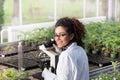 Scientist sitting at microscope in greenhouse