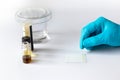 Scientist Spotting Sample solution on TLC Plate Using Capillary Tube Royalty Free Stock Photo