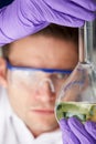 Scientist Studying Liquid In Flask Royalty Free Stock Photo