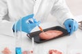 Scientist with syringe examining meat sample in laboratory Royalty Free Stock Photo