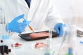 Scientist with syringe examining meat sample in laboratory Royalty Free Stock Photo