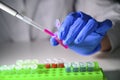 Scientist taking out pink chemical solution in eppendorf tube and pipette for biomedical research with tube rack on a white bench