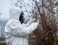 Scientist taking plant sample on the street. Royalty Free Stock Photo