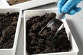 Scientist taking soil sample from container. Laboratory research