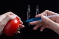 Scientist testing GMO plant in laboratory on tomato-biotechnology and GMO concept. GMO genetically modified food. Hands holding a Royalty Free Stock Photo