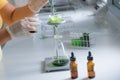 The scientist is testing the natural product extraction and green color solution, in the chemistry laboratory. Royalty Free Stock Photo