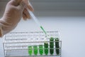 The scientist is testing the natural product extraction and green color solution, in the chemistry laboratory. Royalty Free Stock Photo
