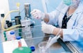 Scientist using dropper pipette transfer sample in Biosafety cabinet Royalty Free Stock Photo