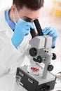 Scientist using microscope for examining meat sample in laboratory Royalty Free Stock Photo