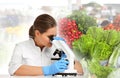 Scientist using modern microscope at table. Food quality analysis Royalty Free Stock Photo