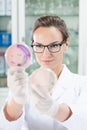 Scientist watching microbacteria at Petri dish Royalty Free Stock Photo