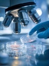 Scientist wearing blue gloves handling petri dish samples under a microscope in a modern laboratory setting with focused lighting Royalty Free Stock Photo