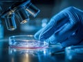 Scientist wearing protective gloves handling a petri dish under a microscope with blue lighting in a laboratory environment for Royalty Free Stock Photo