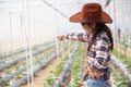 Scientist woman and farmer check melon fruit