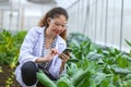 Scientist woman researcher staff worker collecting study plant information in agriculture farm. Agricultural Science concept